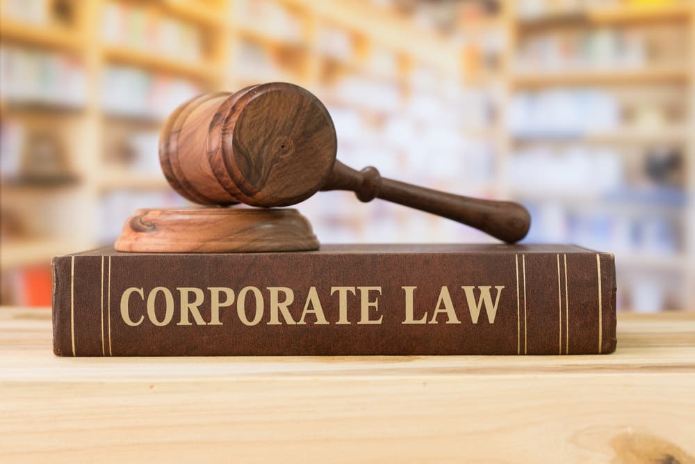 What Do Corporate Litigators Do